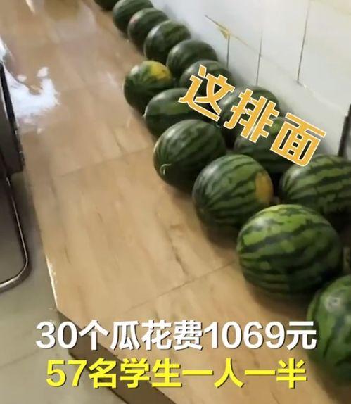 潮安教师吃瓜,揭秘校园背后的“瓜田”风云  第3张